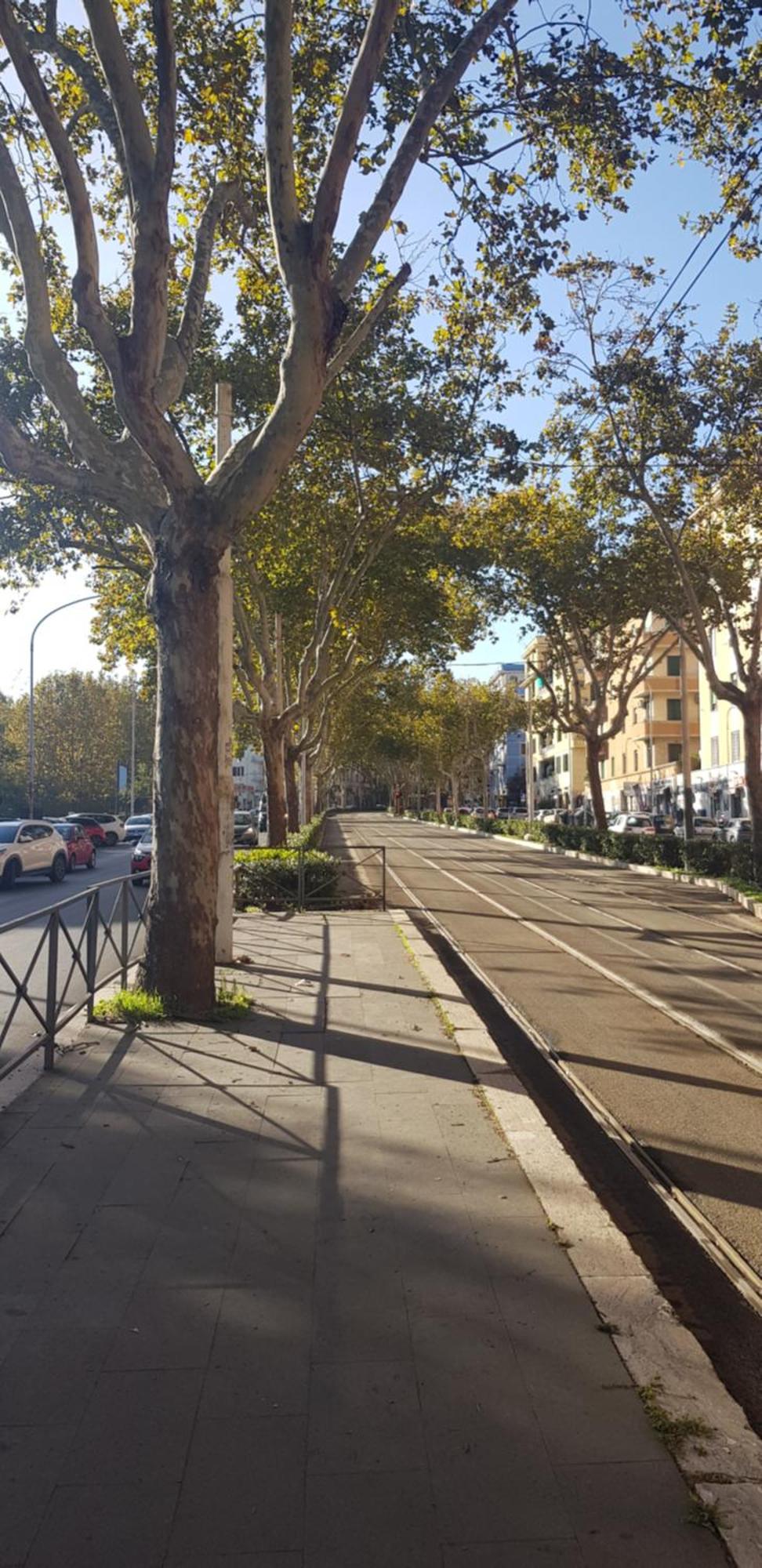 Trastevere Residenze Roma Exterior foto
